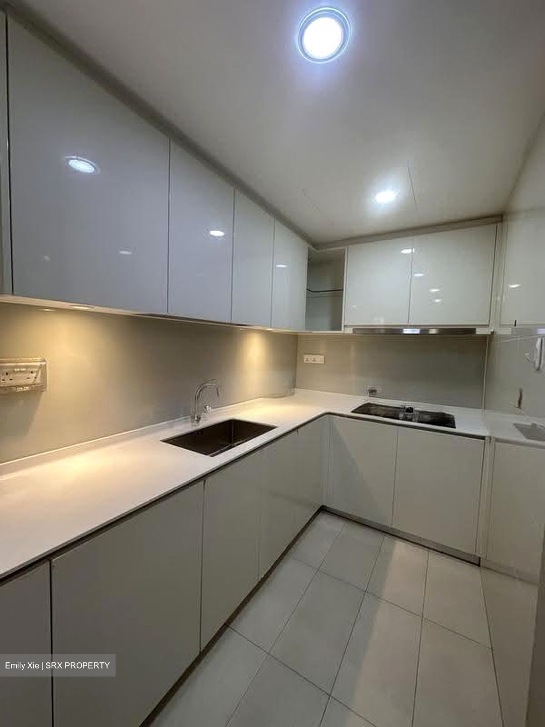 Lakeville (D22), Condominium #618675521